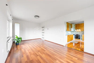 Wohnzimmer; holzboden, tageslicht