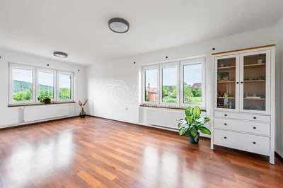 Wohnzimmer; holzboden, blick, tageslicht
