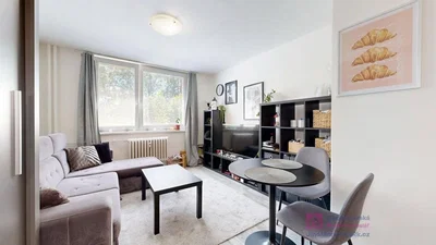 Salon; lumière naturelle, style moderne