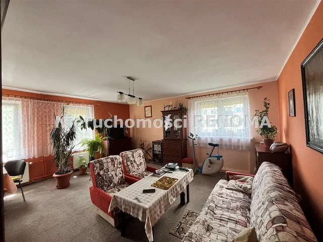 Salon; lumière naturelle, style rustique