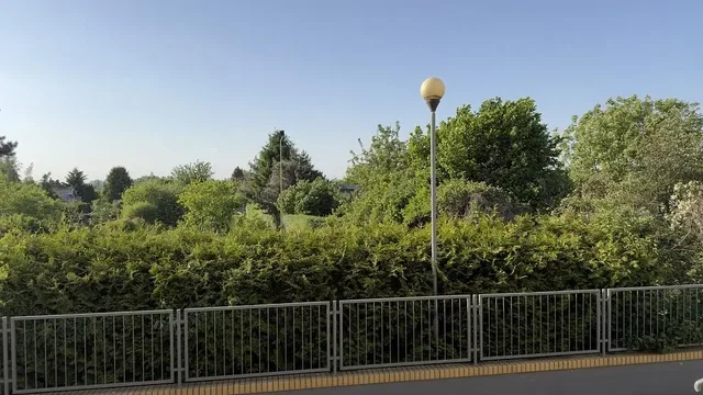 أخرى