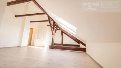 Ostatní