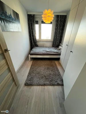 Ostatní