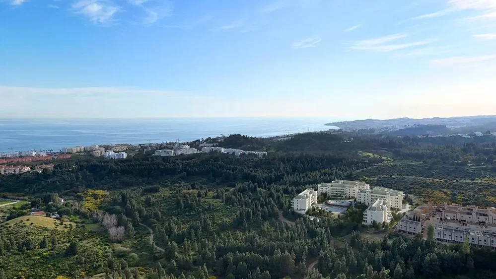 Ostatní
