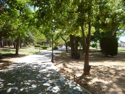 Diğer