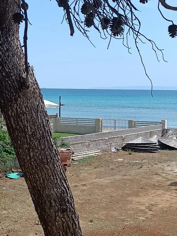 Diğer