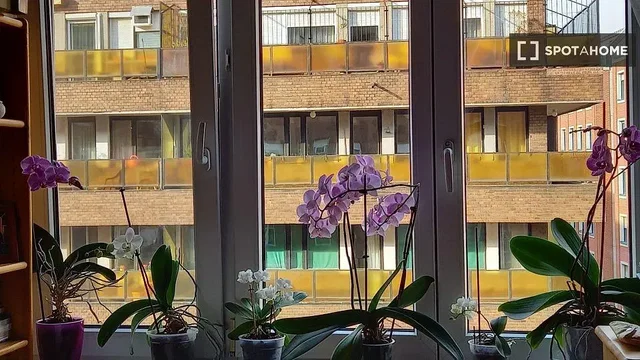 Obývací pokoj