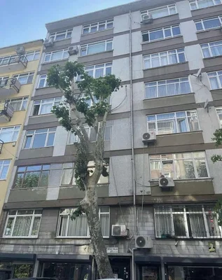Dnevni boravak