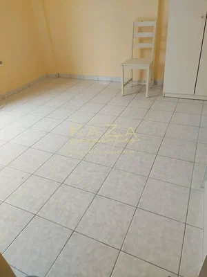 Остало
