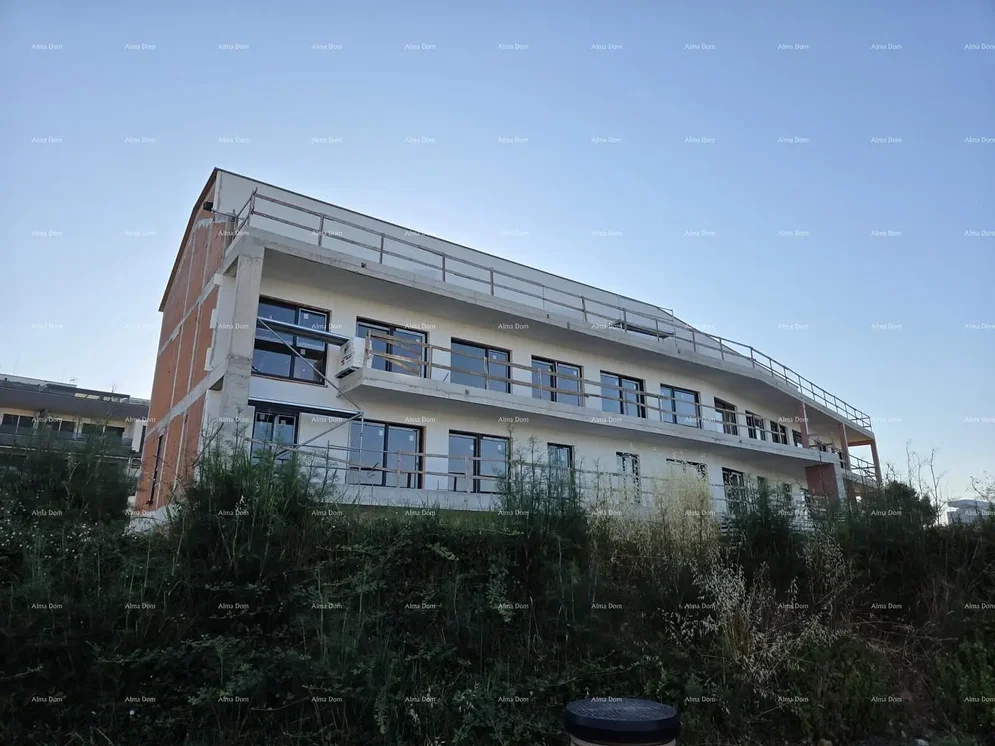 House and surroundings