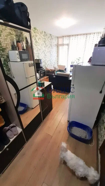 Kitchen; kitchen appliances, wood floor, natural light