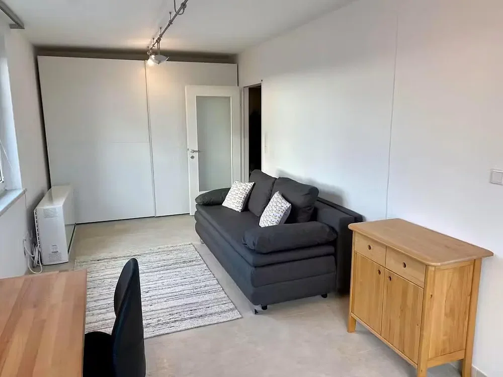 Salón; suelo de madera, luz natural