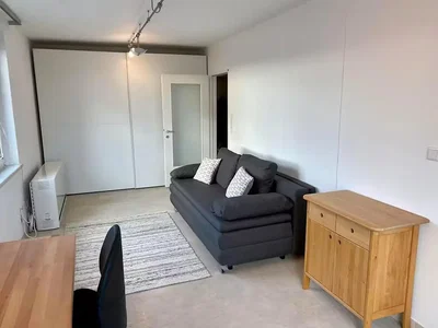 Salón; suelo de madera, luz natural