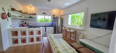 Kuhinja; kućanski aparati, pločice, prirodna svjetlost, rustikalni stil