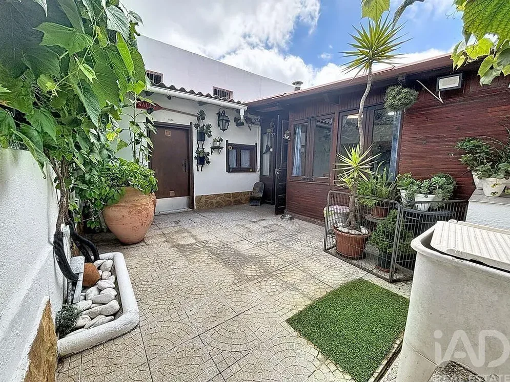 Terrace; natural light, plants
