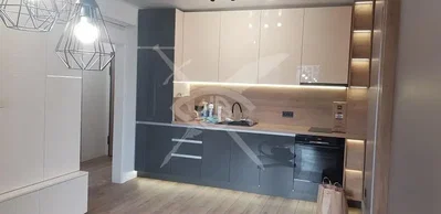 Kuhinja; kuhinjski aparati, renoviran, prirodno svjetlo, moderni stil