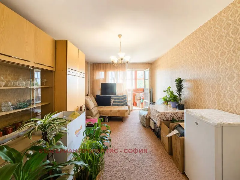 Living room; natural light, wood floor