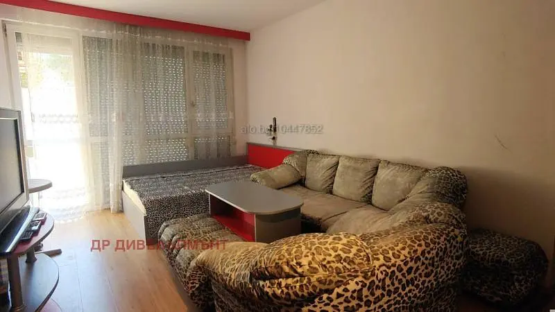 Living room; natural light, wood floor