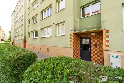 Остало; дрвени под, природно светло