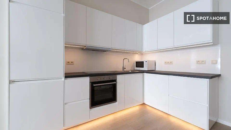 Cucina; elettrodomestici, pavimento in piastrelle, luce naturale, ristrutturato