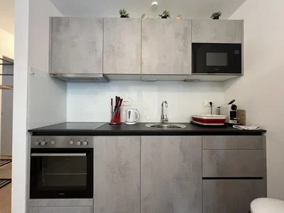 Cuisine; électroménager, lumière naturelle