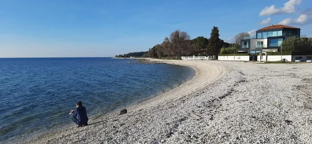 Altro