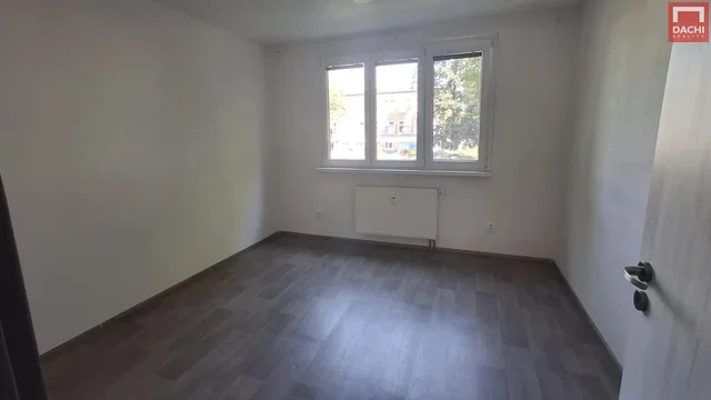 Overig; houten vloer, natuurlijk licht