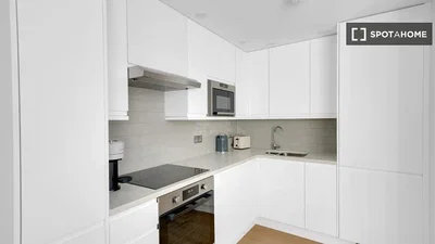 Cuisine; électroménager, lumière naturelle