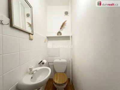Toilettes; carrelage