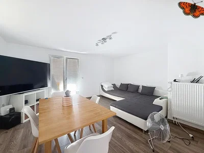 Living room; natural light, wood floor, modern style