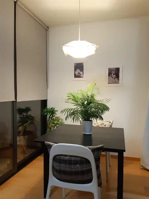 Wohnzimmer; tageslicht, holzboden