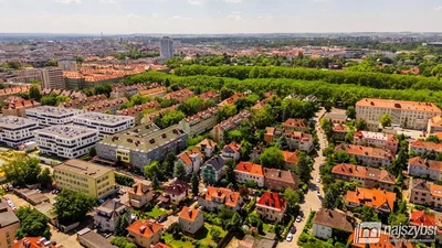 Ostatní