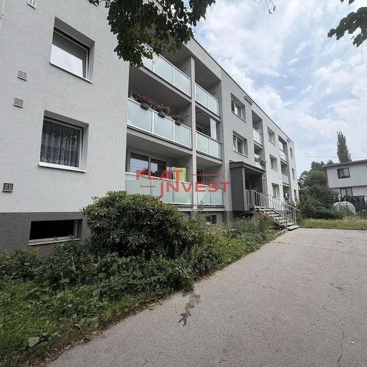 House and surroundings