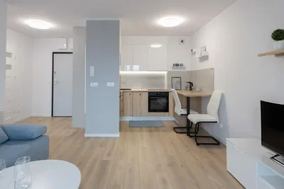 Wohnzimmer; tageslicht, holzboden, renoviert, moderner stil, küchengeräte