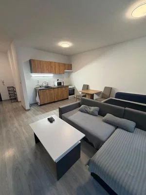 Living room; kitchen appliances, wood floor, natural light