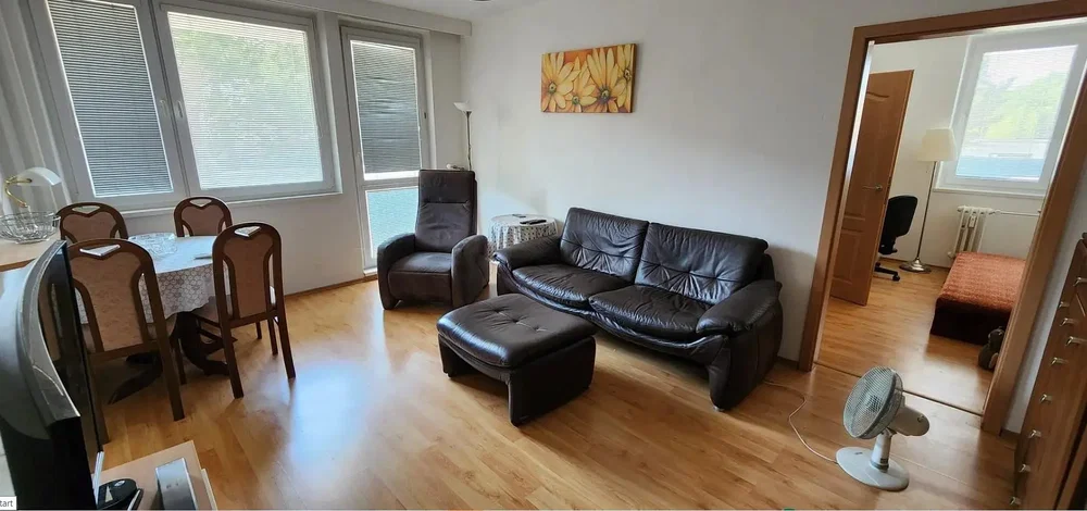 Living room; wood floor, natural light