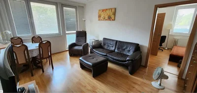 Living room; wood floor, natural light