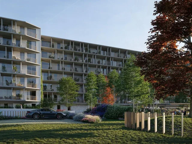 Maison et environs; vue, lumière naturelle