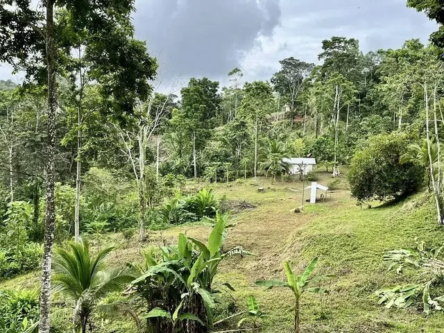 Casa y alrededores