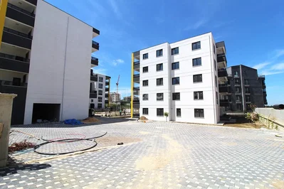 House and surroundings