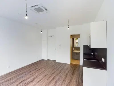 Living room; wood floor, natural light