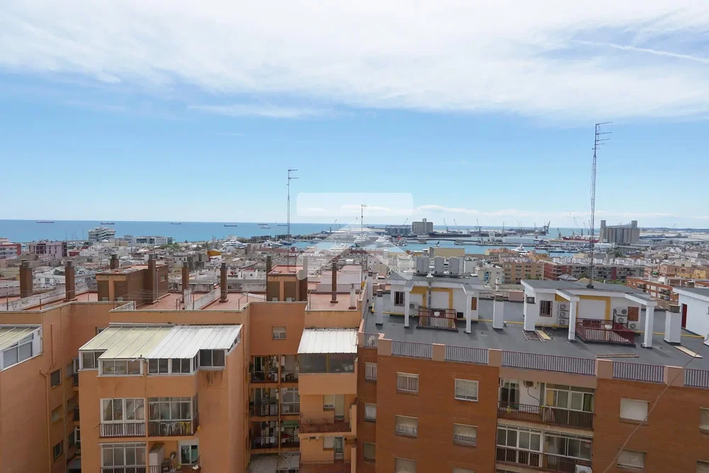 House and surroundings; view