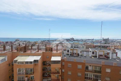 House and surroundings; view
