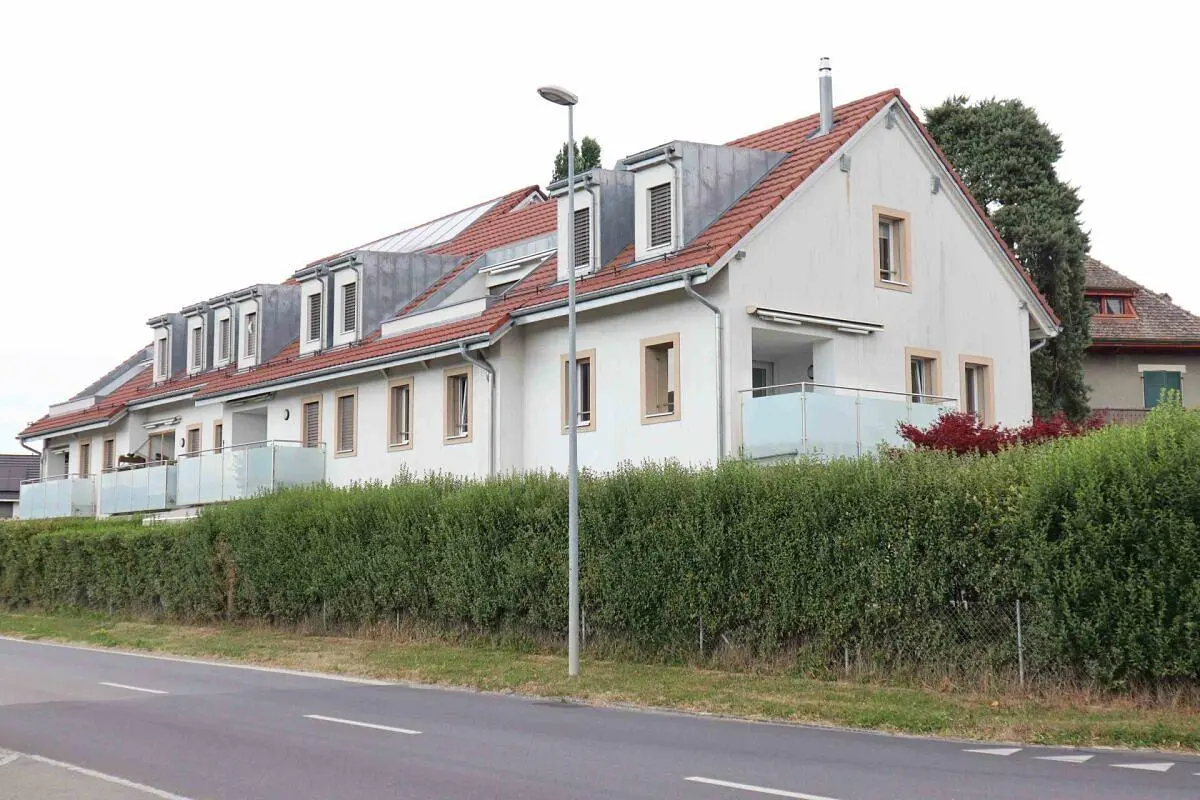 House and surroundings