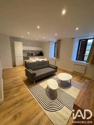 Salon; parquet, lumière naturelle