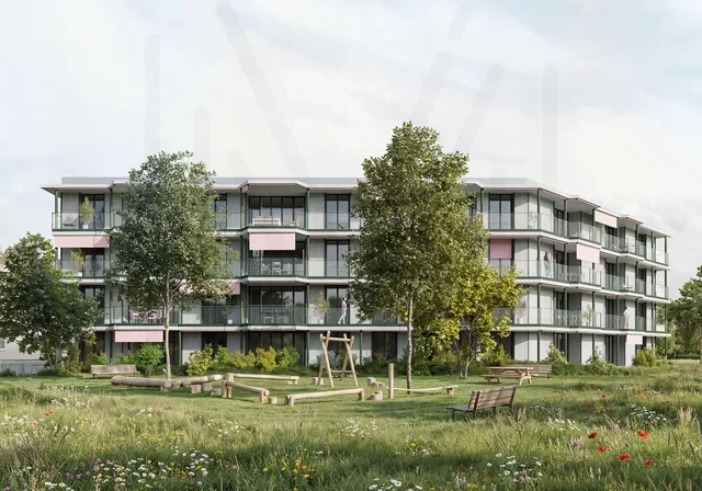 Casa e arredores