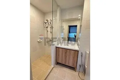 Toilettes; carrelage, rénové, lumière naturelle