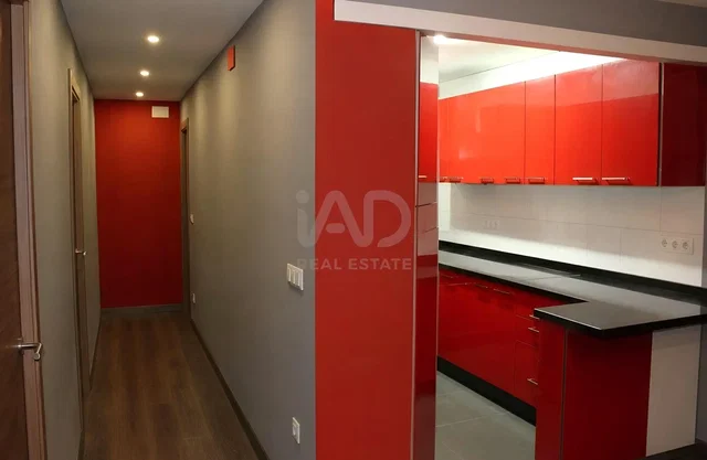 Cozinha; eletrodomésticos, chão de azulejo, chão de madeira, renovado, luz natural