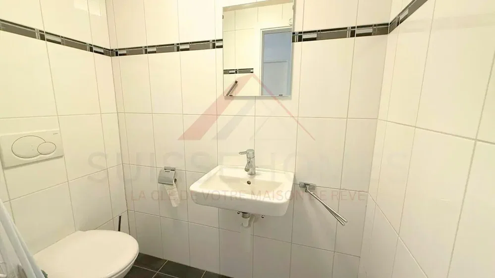 Toilette; fliesenboden, tageslicht