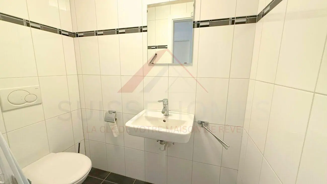 Toilette; fliesenboden, tageslicht